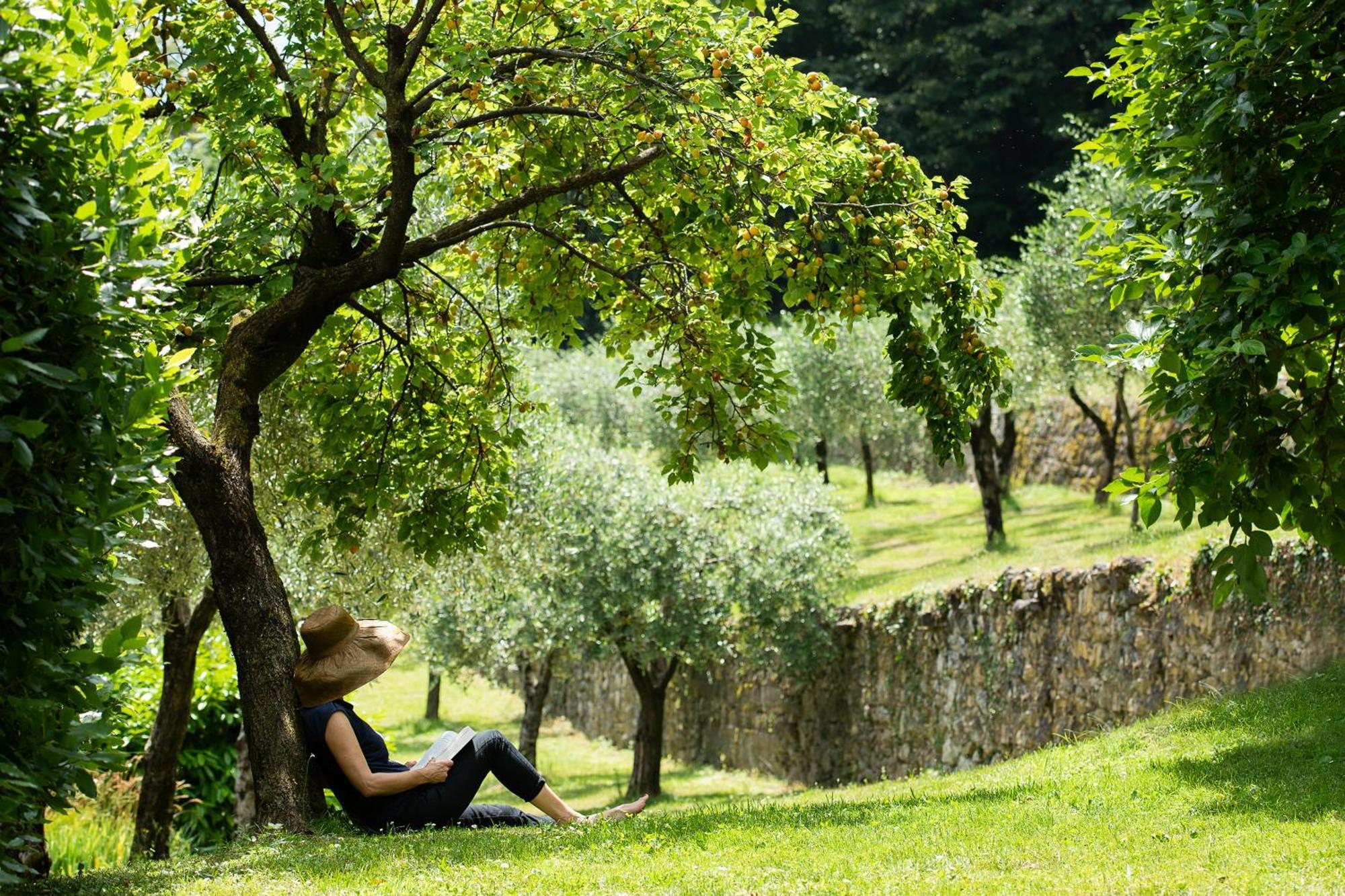 Villa Angelica Riva del Garda Exterior foto
